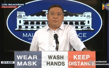 <p>Presidential Spokesperson Harry Roque</p>