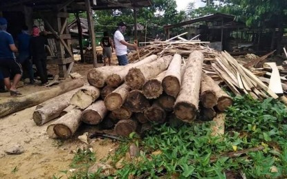 <p><strong>HOT LOGS.</strong> Some PHP118,000 worth of illegally-gathered forest products were seized by the joint operatives of the Department of Environment and Natural Resources and Police Regional Office in Caraga Region. The operations were conducted in the first week of July 2020 in the Agusan del Norte towns of Santiago, Jabonga, and Kitcharao.<em> (Photo courtesy of DENR-13 Info Office)</em></p>