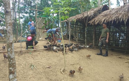<p><strong>MILITIAMEN.</strong> Native chicken production inside a detachment of Citizen Armed Force Geographical Unit (CAFGU) in San Jorge, Samar in this undated photo. The Philippine Army has recruited 120 new militiamen in Samar to help sustain the insurgency-free status in some areas of the province, a military official said on Wednesday (July 8, 2020). (<em>Photo courtesy of Philippine Army)</em></p>