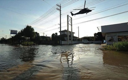 <p><em>(Anadolu photo)</em></p>