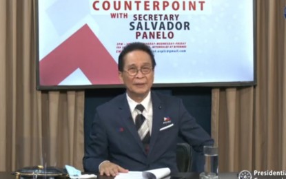 <p>Chief Presidential Legal Counsel Salvador Panelo. <em>(File photo)</em></p>