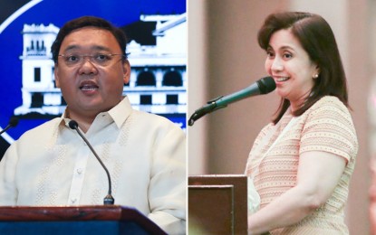 <p>Presidential Spokesperson Harry Roque and Vice President Leni Robredo</p>