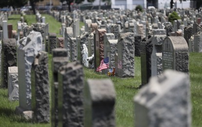 <p>US national flag and flowers at a cemetery in New York <em>(Xinhua photo)</em></p>