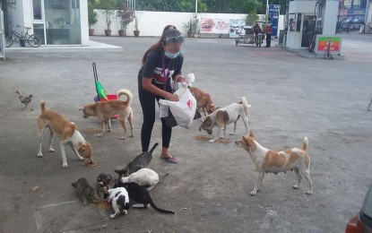 <p>Josephine Victoria feeds stray cats and dogs near a gasoline station. She vows to continue feeding the animals while quarantines are imposed in the metropolis.<em> (Photo grabbed from Jenica Victoria's Facebook)</em></p>