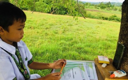 <p><strong>TREEHOUSE CLASSROOM.</strong> Grade 2 pupil Arvin Jay Curangcurang from Cabatang Alicia, Bohol attends virtual class sessions. His family built the classroom on a hill where he gets a steady signal for his online classes. <em>(Contributed photos from Giecel Marie Curangcurang)</em></p>