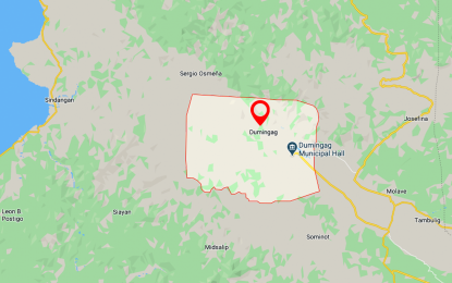 <p>Google map of Dumingag municipality, Zamboanga del Sur.</p>