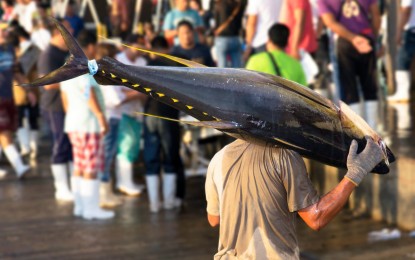 <p><strong>TUNA CATCH</strong>. An undated photo shows a worker carrying a newly-unloaded tuna at the General Santos City fishport complex in Barangay Tambler. The Soccsksargen Federation of Fishing and Allied Industries Inc. (SFFAII), an umbrella group of tuna industry players in Region 12, proposed for the temporary closure of the fishport following the emergence of confirmed coronavirus disease 2019 (Covid-19) cases linked to the facility. (<em>Photo grabbed from the Facebook page of SFFAII</em>) </p>