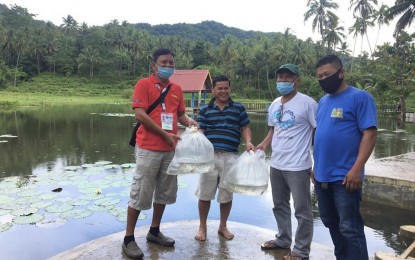 <p><strong>FINGERLINGS DISPERSAL.</strong> Personnel of the Bureau of Fisheries and Aquatic Resources (BFAR-7) turn over fingerlings to fresh water fishery farmers at the Clarin Fresh Water Fish Farm in Clarin, Bohol. The BFAR-7 on Thursday (Sept. 3, 2020) announced that it dispersed 26,000 common carp fingerlings in different fishery sites and fresh water areas in Bohol and 3,500 more fingerlings in Camotes Island, Cebu. <em>(Photo courtesy of BFAR-7)</em></p>