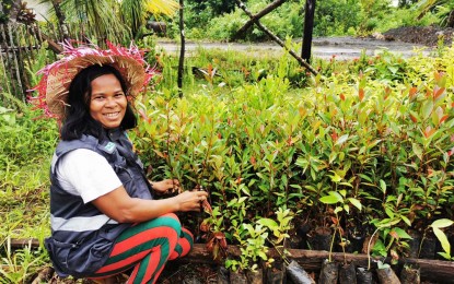 <p><strong>ENVIRONMENTAL COMPLIANCE.</strong> A villager beams as she works with seedlings at one of the nurseries owned by Cagdianao Mining Corporation in Barangay Valencia, Cagdianao town in Dinagat Islands province. The company regularly taps community residents in its rehabilitation and reforestation works within its mine site. <em>(Photo courtesy of <span id="cch_f20dec0bd458bbe" class="_mh6 _wsc"><span class="_3oh- _58nk">Nathalie Radaza</span></span>)</em></p>