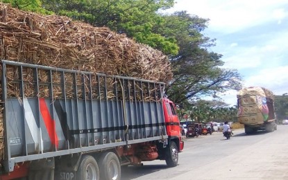 <p><strong>HIGH OUTPUT</strong>. Cane trucks on the way to sugar mills in the northern part of Negros Occidental. The Sugar Regulatory Administration on Tuesday (Dec. 15, 2020) said the industry is doing well despite the coronavirus disease (Covid-19) pandemic. <em>(PNA Bacolod file photo)</em></p>