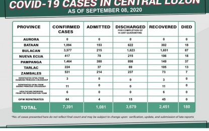 Central Luzon logs 426 new Covid-19 cases; 11 more ...