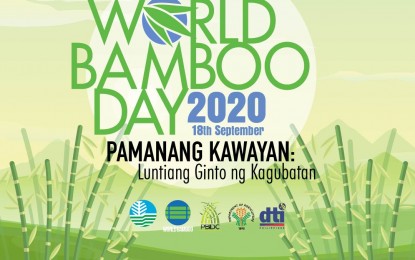 <p><strong>WORLD BAMBOO DAY.</strong> In commemoration of the World Bamboo Day, the DENR conducted simultaneous bamboo planting in 99 sites nationwide on Friday (Sept. 18, 2020). Being one of the world's fastest growing plants, the agency is looking at planting bamboo to hasten the increase of Philippine forest cover.<em> (Photo from DENR FB page)</em></p>