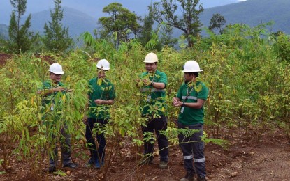 <p><strong>TREE PLANTING.</strong> Philippine Nickel Industry Association (PNIA) member companies intensify their progressive rehabilitation efforts as part of its environmental protection and enhancement programs (EPEP). As of August 2020, PNIA has planted over 6.59 million trees in communities where the mining companies operate. <em>(Photo courtesy of PNIA)</em></p>
<p> </p>