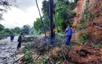 <p><strong>ROAD CLEARING</strong>. Local officials conduct road clearing operations of uprooted trees in Barangay Pasaleng in Pagudpud town in Ilocos Norte on Saturday (Oct. 24, 2020). PAGASA issued a heavy rainfall warning Sunday in parts of Ilocos Norte, Cagayan, and Apayao. <em>(Photo courtesy of Barangay Pasaleng Facebook Page)</em></p>
<p> </p>