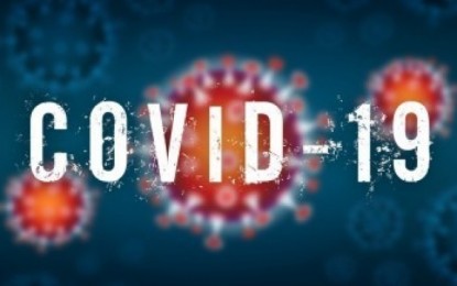 2 cases of Indian Covid variant detected in PH: DOH