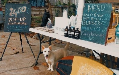 <p><strong>2400 COLD BREW.</strong> This pop-up coffee shop at Bonuan Tondaligan beach in Dagupan City offers coffee and a view of the beach. It was launched by three millennials amid the Covid-19 pandemic to encourage other young people to engage in entrepreneurship and boost tourism in the area. <em>(Photo courtesy of 2400 Cold Brew)</em></p>
<p> </p>