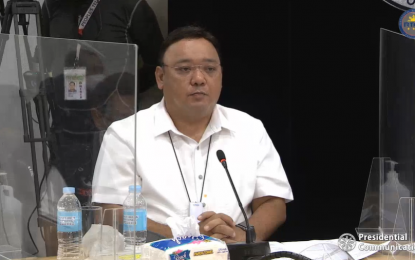 <p><strong>STABLE PRICES</strong>. Presidential Spokesperson Harry Roque hosts a press conference to give updates on the Super Typhoon Rolly on Sunday (Nov. 1, 2020). Roque said the Department of Trade and Industry assured that prices of basic goods and commodities remain stable. <em>(Screenshot)</em></p>