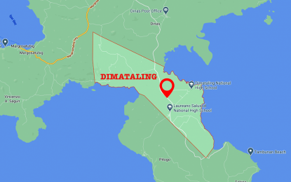 <p>Google map of Dimataling town, Zamboanga del Sur.</p>