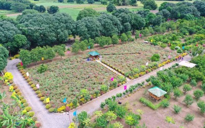 <div dir="auto"><strong>FARM TOURISM.</strong> The aerial view of the 20-hectare agri-tourism farm in Asingan, Pangasinan. It was reopened on Oct. 30, 2020 to Pangasinan residents only. <em>(Photo courtesy of Kwentong Asingan Facebook page)  </em></div>
<div dir="auto"> </div>