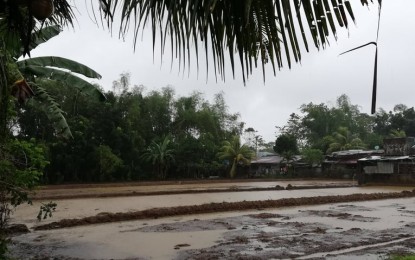 <p><strong>FLOODED.</strong> A rice field in Iloilo inundated by Typhoon Quinta. The regional disaster council said Friday (Nov. 6, 2020) damage to agriculture during “Quinta’s” onslaught in Western Visayas has reached PHP226.96 million. <em>(PNA photo by Perla Lena)</em></p>