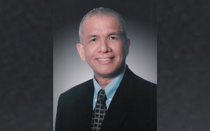 <p>SEIPI president Dan Lachica</p>