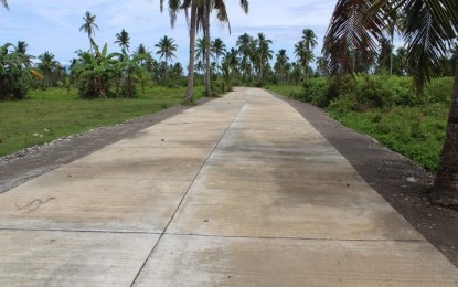 <p><strong>ROAD CHECK.</strong> A newly-paved road in Carigara, Leyte. The Department of Public Works and Highways on Tuesday (Nov. 10, 2020) conducts a thorough inspection of all national roads and bridges in Eastern Visayas. <em>(Photo courtesy of DPWH 2nd Leyte District Engineering Office)</em></p>
