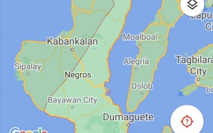 <p>Google map of Negros Oriental.</p>