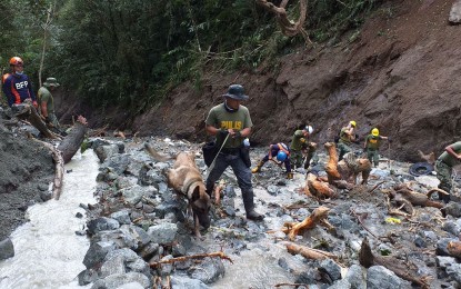 <p><strong>SEARCH OPS</strong>. Four Belgian Malinois dogs have been deployed with their handlers for the search, rescue, and retrieval operation in Ifugao. They are part of the over 100 personnel who continue to search kilometers away from ground zero after a landslide occurred in Viewpoint, Banaue, Ifugao during the onslaught of Typhoon Ulysses on November 12, 2020. (<em>Photo courtesy of PROCOR-PIO</em>)  </p>
