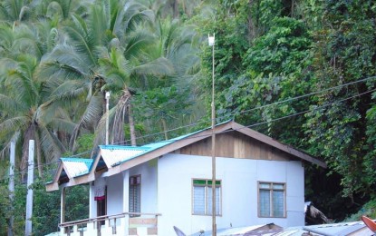 <p><strong>SIGNAL BOOSTER</strong>. Bamboo poles next to houses are common in Tenani village, Paranas, Samar. During the health crisis where almost everyone needs social connection, residents in this town’s farming village have found bamboo poles very useful to access social media. <em>(PNA photo by Roel Amazona)</em></p>