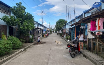 <p><strong>MORE HOUSING UNITS</strong>. A “Yolanda” resettlement site in Tanauan, Leyte. Cabinet Secretary Karlo Alexie Nograles, Task Force Yolanda head, said Friday (Nov. 20, 2020) a total of 12,508 additional housing units for the super typhoon’s victims will rise in Eastern Visayas. <em>(PNA photo by Gerico A. Sabalza)</em></p>