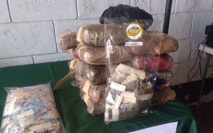<p><strong>DESTROYED.</strong> The Philippine Drug Enforcement Agency in Caraga (PDEA-13) in Butuan City destroys some PHP22.9 million worth of illegal drugs are destroyed on Thursday (Nov. 26, 2020). The activity coincided with the observance of the Drug Abuse Prevention and Control Week. <em>(Photo courtesy of PDEA-13 Information Office)</em></p>
