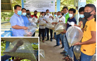 <p><strong>HAPPY BENEFICIARIES</strong>. Thirty-four fish farmers from Datu Odin, Sinsuat, Maguindanao gladly accepted on Friday (Nov. 27, 2020) their sets of tilapia fingerlings from personnel of the Ministry of Agriculture Fisheries and Agrarian Reform-Bangsamoro Autonomous Region in Muslim Mindanao (MAFAR-BARMM). The fingerling dispersal program aims to help fish farmers recover from losses brought about by the coronavirus disease pandemic. (<em>Photo courtesy of MAFAR-BARMM)</em></p>