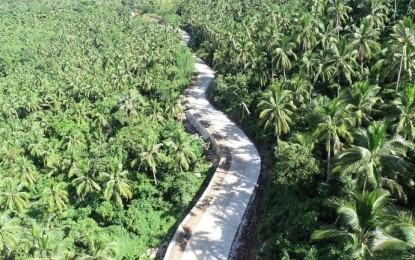 <p><strong>ROAD CONSTRUCTION</strong>. The aerial photo shows a portion of the P187-M access road project in Naval, Biliran. The Department of Public Works and Highways (DPWH) on Saturday (Dec. 5, 2020) said the third phase construction of the multi-year funded project from 2018 to 2022 is now 73.41 percent complete. <em>(Photo courtesy of DPWH)</em></p>