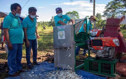 <p><strong>HARVEST TIME</strong>. Members of the Lingayao Kahayagan Cassava Farmers Association start the processing of harvested cassava from their 30-hectare cassava production farm in the town of Las Nieves in Agusan del Norte. Mayor Avelina S. Rosales targets around 200 hectares of land to be developed as cassava production sites under the Cassava Cluster Development Plan of the municipal government.<em> (Photo from the Facebook page of Las Nieves LGU)</em></p>