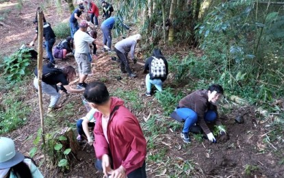 <p><strong>TREE PLANTING.</strong> Around 30 members of the ‘Disiplina’ (discipline) brigades plant elderberry saplings at the City’s Arboretum beside the Botanical Garden last week. The brigade's primary task is to promote discipline and ensure that the public observes the basic health and safety protocols. <em>(Photo from PIO-Baguio FB)</em></p>