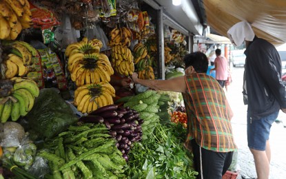 EDC lauds quick response to lower cost of fruits, veggie exports