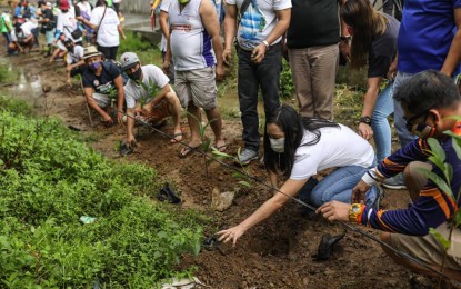 <p><strong>TREE PLANTING.</strong> Quezon City Mayor Joy Belmonte leads a tree planting activity in Barangay Old Balara on Tuesday (Dec. 8, 2020). Belmonte said the city government is planning to form a department that will focus on projects that will help mitigate the effects of climate change.<em> (Photo grabbed from QC Gov't FB page)</em></p>