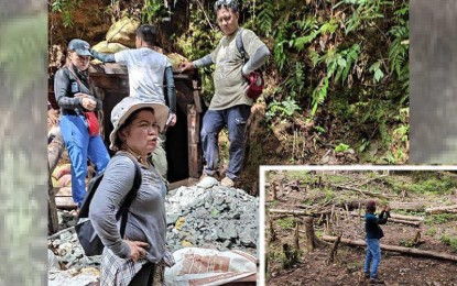 <p><strong>OUTRAGEOUS DISCOVERY.</strong> Personnel from DENR-North Cotabato inspect the entrance of the tunnel and the mined materials in Barangay Panaca, Magpet, North Cotabato which is well within the Mt. Apo protected area. Personnel of the DENR (inset) also documented the logged area near the illegal mining sites where hardwood trees have been cut. <em>(Photo courtesy of DENR-North Cotabato)</em></p>