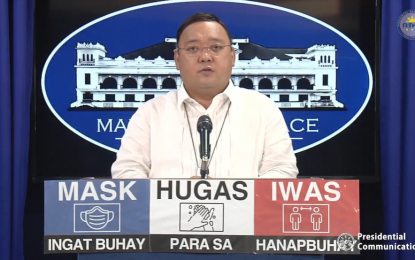 <p>Presidential Spokesperson Harry Roque <em>(Screenshot)</em></p>