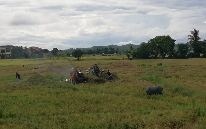 <p><strong>SUFFICIENT PALAY</strong>. Farmers harvest palay in Antique’s Sibalom town. Office of the Provincial Agriculture chief Nicolasito Calawag on Tuesday (Dec. 15, 2020) said the province is 114 percent self-sufficient from January to September 2020. <em>(PNA photo by Annabel Consuelo J. Petinglay)</em></p>