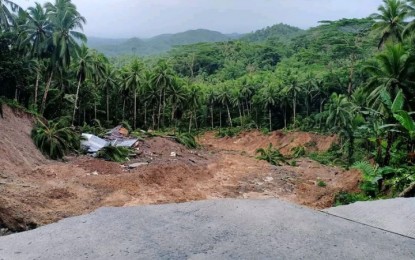 <p><strong>TRAPPED</strong>. A road section in Cuatro de Agosto village in Mahaplag, Leyte collapsed on Saturday (Dec. 19, 2020). The rain-induced landslide trapped and killed two senior citizens, the police reported. <em>(Photo courtesy of Kerwin Vill)</em></p>
