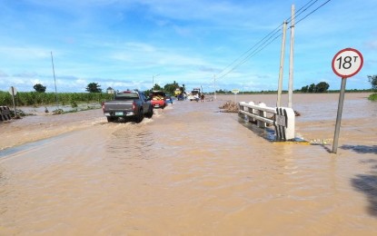 P20-M crop, livestock losses in NegOcc due to New Year's floods ...