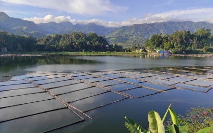 <p><strong>EMERGENCY HARVEST</strong>. Fish cages in Barangay Poblacion in Lake Sebu, South Cotabato in this undated photo. Mayor Floro Gandam confirmed on Saturday (Jan. 9, 2021) another fish kill in Lake Sebu in South Cotabato, forcing tilapia fish cage operators to launch a massive emergency harvest. <em>(PNA GenSan photo)</em></p>