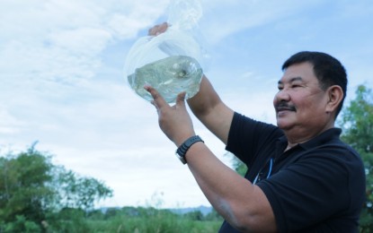 <p><strong>HELP FOR FISHERS</strong>. Wilfredo Cruz, regional director of the Bureau of Fisheries and Aquatic Resources-3 (Central Luzon), shows the bangus (milkfish) fry distributed to small scale fishers and fish producers in Orani, Bataan on Tuesday (Jan. 19, 2021). The move is in line with BFAR's "Ahon Lahat, Pagkaing Sapat Kontra sa Covid-19" program.<em> (Photo courtesy of BFAR-3)</em></p>