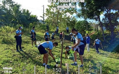 <p><strong>TREE PLANTING.</strong> Personnel of Glan municipal police station in Sarangani province plant tree seedlings at a portion of Sitio Buli, Barangay Pangyan as part of a simultaneous tree planting activity in Region 12 (Soccsksargen) on Tuesday (Jan. 26, 2021). Police personnel and community stakeholders are able to plant around 35,000 tree seedlings during the activity. <em>(Photo courtesy of the Glan municipal government)</em></p>
