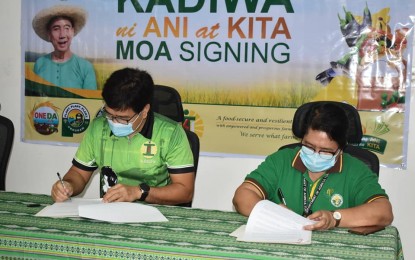 <p><strong>KADIWA MARKETS</strong>. Department of Agriculture-Western Visayas Regional Executive Director Remelyn R. Recoter (right) and ILECO II General Manager Jose Redmond Eric S. Roquios (left) sign the Memorandum Agreement (MOA) for the establishment of the Kadiwa ni Ani at Kita at three ILECO II area offices on Jan. 29, 2021. Recoter said that the market will start to operate on Wednesday (Feb.3, 2021).<em> (Photo by DA-RAFIS 6)</em></p>