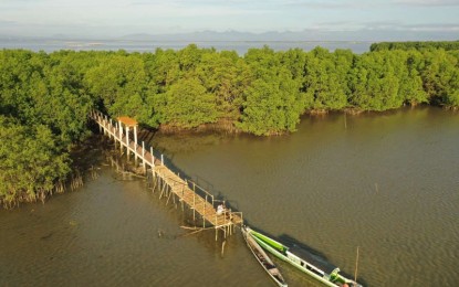 <p><strong>WETLAND OF INTERNATIONAL IMPORTANCE.</strong> The Sasmuan Pampanga Coastal Wetland (SPCW) is now a Ramsar Site or Wetland of International Importance upon declaration by the Department of Environment and Natural Resources (DENR) – Biodiversity Management Bureau (BMB) based in Quezon City and the Ramsar secretariat based in Gland, Switzerland. The SPCW is the eighth Ramsar Site in the country and first in Central Luzon, covering more than 3,500 hectares of coastal waters and four barangays in Sasmuan, Pampanga.<em> (Photo courtesy of DENR-Region 3)</em></p>