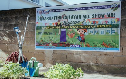 <p><strong>URBAN GARDENING</strong>. The city government of San Fernando, Pampanga relaunches its program that encourages residents to engage in urban gardening and farming on Thursday (Feb. 4, 2021). The undertaking dubbed as “Quarantine Gulayan Mo, Show Mo,” aims to promote healthy and strong communities amid the Covid-19 crisis<em>. (Photo courtesy of the City Government of San Fernando)</em></p>