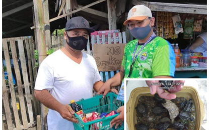 <p><strong>ACKNOWLEDGED</strong>. Lebak Mayor Frederic Celestial (right) hands over aid to locals who rescued nine turtle hatchlings and turned them over to the DENR on Thursday (Feb. 11, 2021). The hatchlings (inset) will be released back to the sea after the DENR checks on their condition. <em>(Photo courtesy of MENRO-Lebak)</em></p>