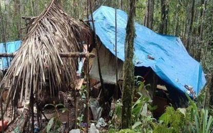 <p><strong>FOXHOLE.</strong> Government troops overrun a lair with 70-person capacity of the Dawlah Islamiya following air and ground assaults Saturday (Feb. 13, 2021) in Barangay Bawang, Madamba, Lanao del Sur. In photo is one of the makeshift huts with foxholes underneath. <em>(Photo courtesy of the Western Mindanao Command Public Information Office)</em></p>